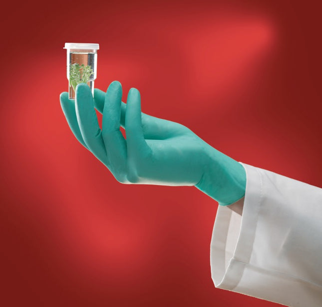 ANSELL disposable gloves Microflex NeoTouch(R) 25-101 size 9.5-10 light green ( 4000371475 )