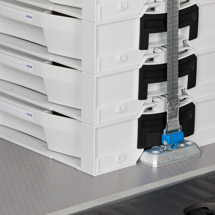 BS Systems ProSafe Halter Set LB ( 1000010166 )