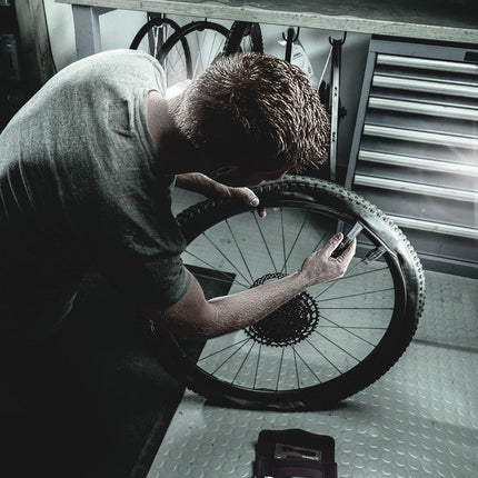 WERA Bit-/Steckschlüsselset Bicycle Set 3 41-teilig ( 4000829862 )